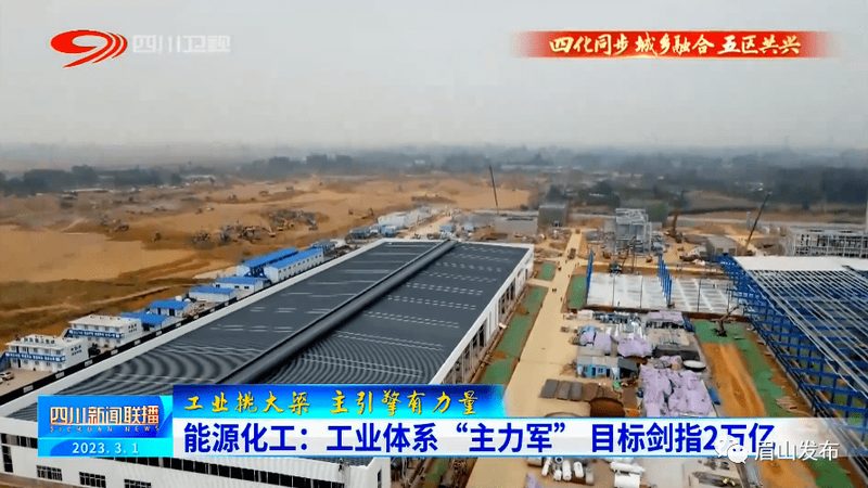 食品级化工原料：保障食品安全的关键